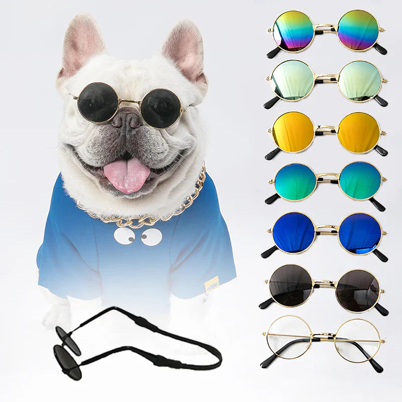 Retro Round Metal Frame Pet Sunglasses For Cats And Small Dogs
