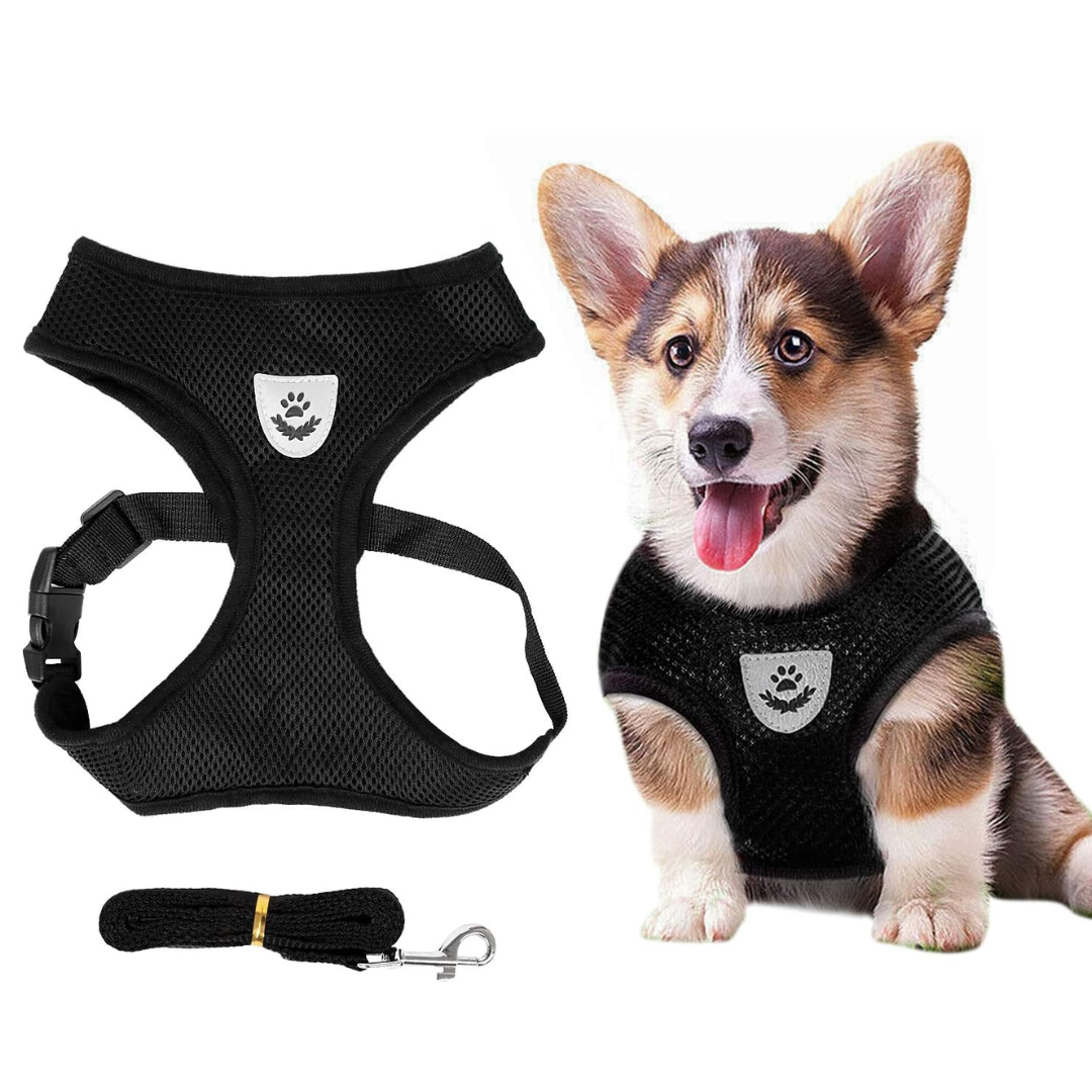 Breathable Soft Mesh Dog Harness For Small Breeds – Choke-Free Reflective Safety Vest