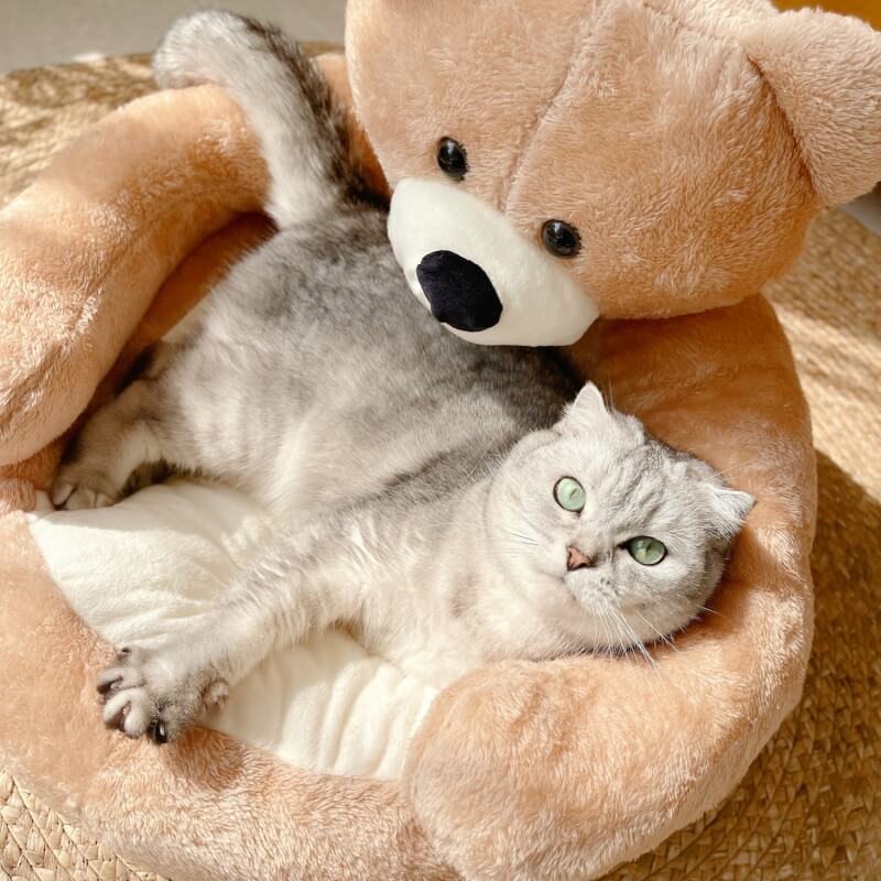 Detachable Cute Cuddly Bear Cat Bed – Soft, Cozy, Non-Slip Pet Sleeping Nest