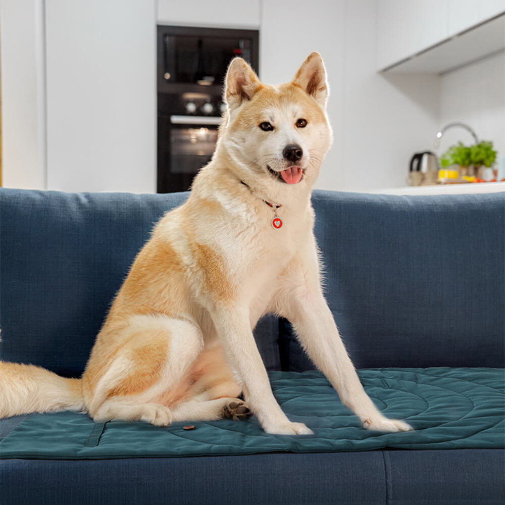 Folding Waterproof Portable Dog Car Seat And Camping Mat