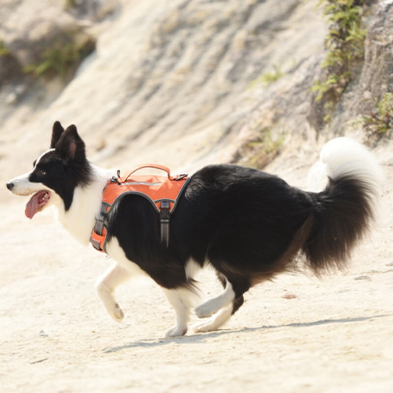 Multifunctional Explosion-Proof Anti-Pull Dog Harness For Medium To Large Dogs