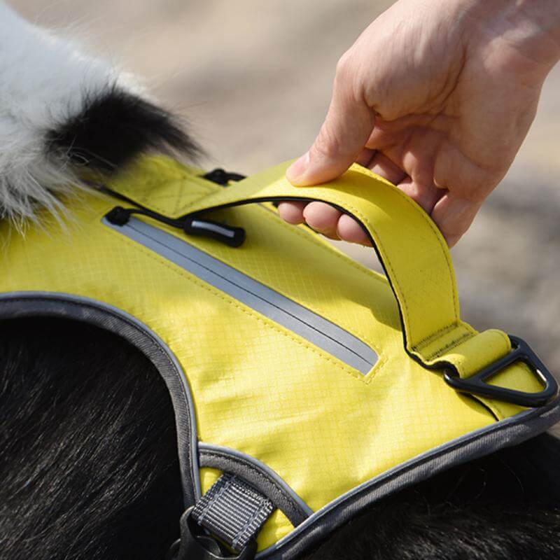 Multifunctional Explosion-Proof Anti-Pull Dog Harness For Medium To Large Dogs