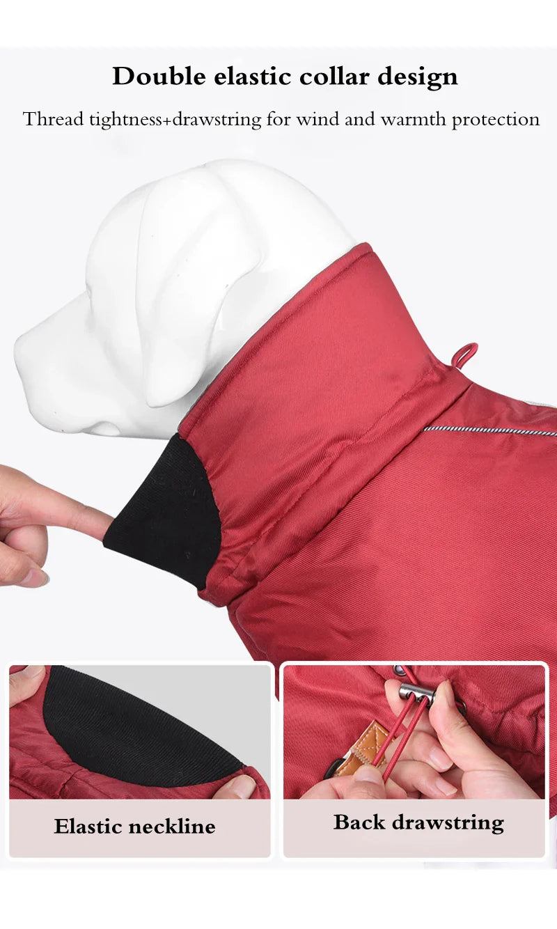 Titan Expedition Waterproof Reflective WInter Coat With Built-in Harness For Large Dogs