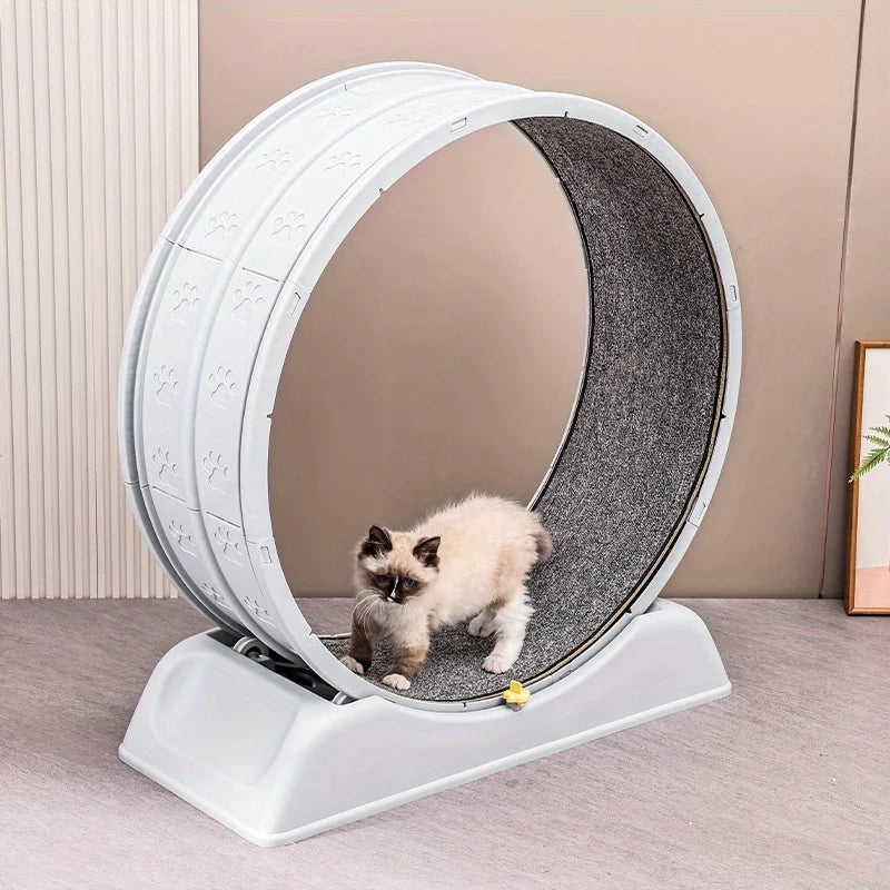 Ultra-Quiet Indoor Cat Exercise Wheel With Safety Lock – Running Treadmill For Large Breeds