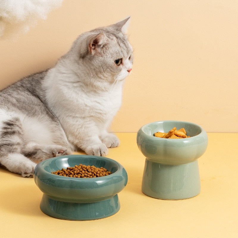 Luna Ceramic Elevated Cat Bowls – Ergonomic Raised Feeding Bowls, Dishwasher Safe, Multiple Sizes & Colors