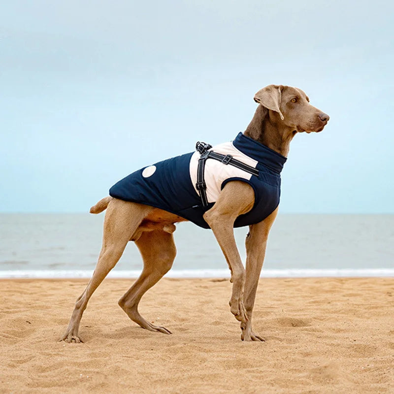 Waterproof Dog Coat With Integrated Harness, High Neck & Reflective Safety Strips