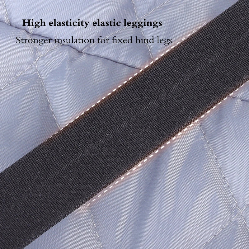 Titan Expedition Waterproof Reflective WInter Coat With Built-in Harness For Large Dogs