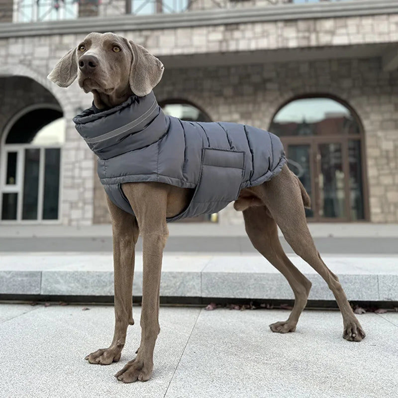 Waterproof Winter Dog Coat With High Neck Thermal Snood And Reflective Safety Design