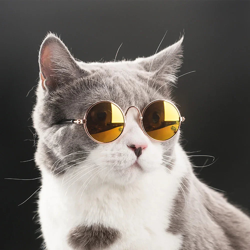 Retro Round Metal Frame Pet Sunglasses For Cats And Small Dogs