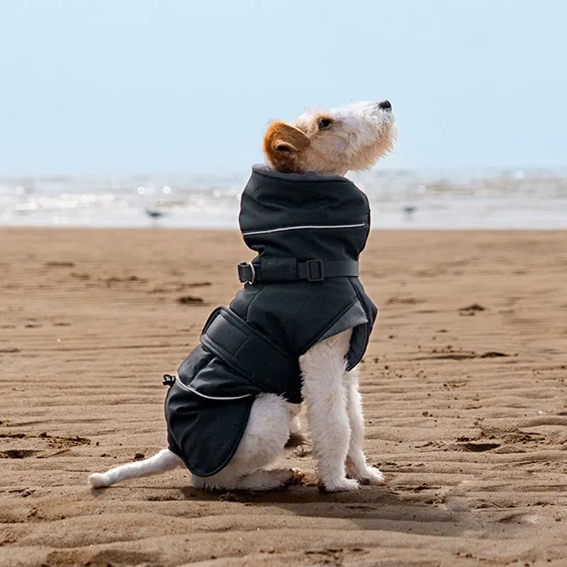 Waterproof Dog Coat With Integrated Harness, High Neck & Reflective Safety Strips