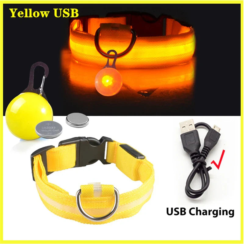 Usb Rechargeable Ultra-Bright Led Dog Collar For Night Safety And Visibility