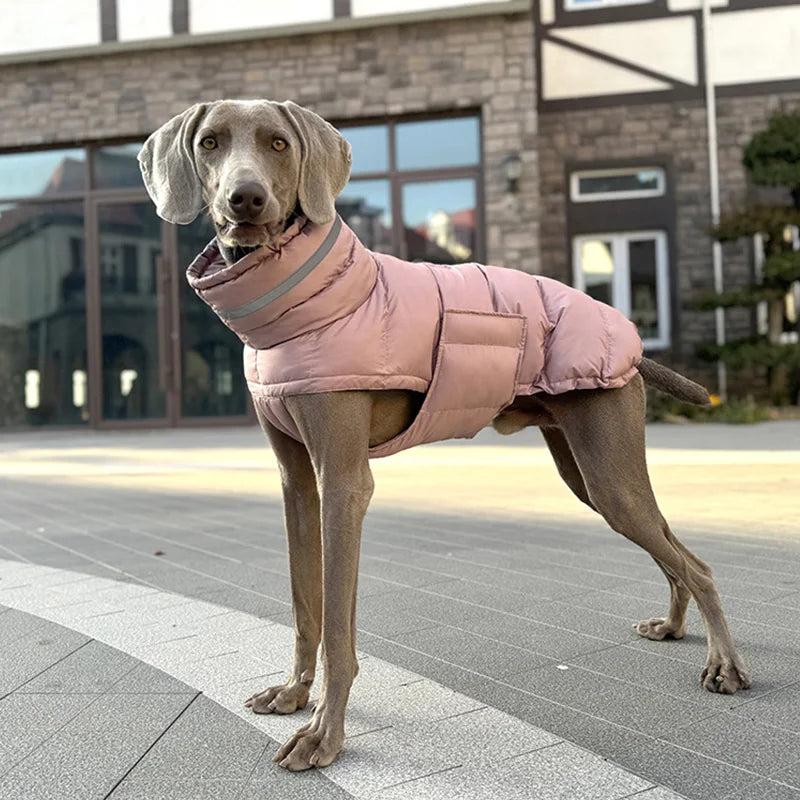 Waterproof Winter Dog Coat With High Neck Thermal Snood And Reflective Safety Design