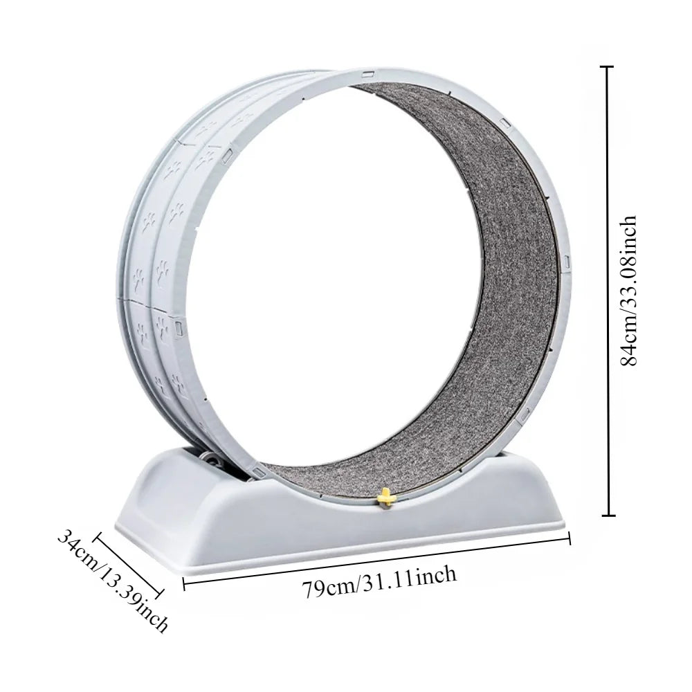 Ultra-Quiet Indoor Cat Exercise Wheel With Safety Lock – Running Treadmill For Large Breeds