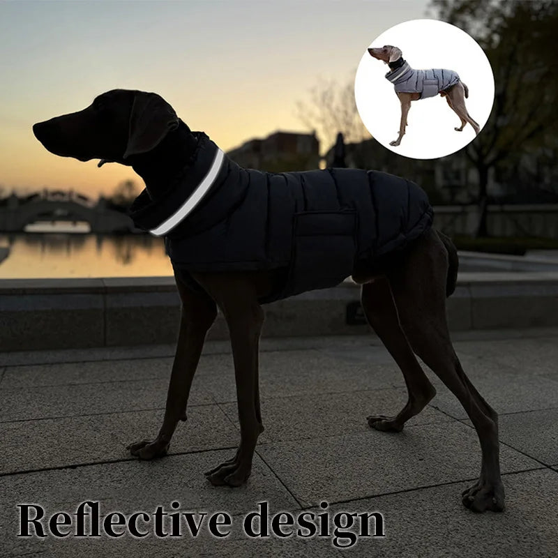 Waterproof Winter Dog Coat With High Neck Thermal Snood And Reflective Safety Design