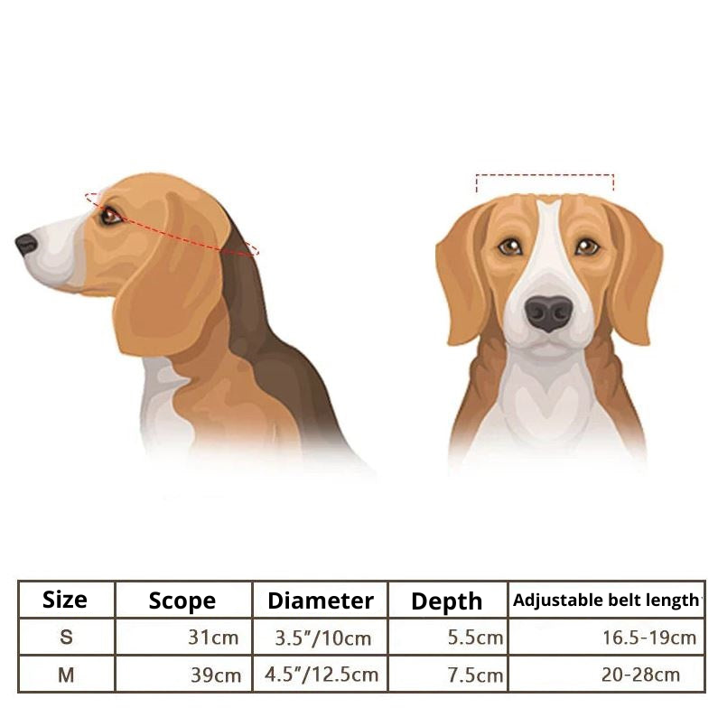 Motorcycle Helmet And Goggles For Dogs – Stylish, Safe Riding Gear