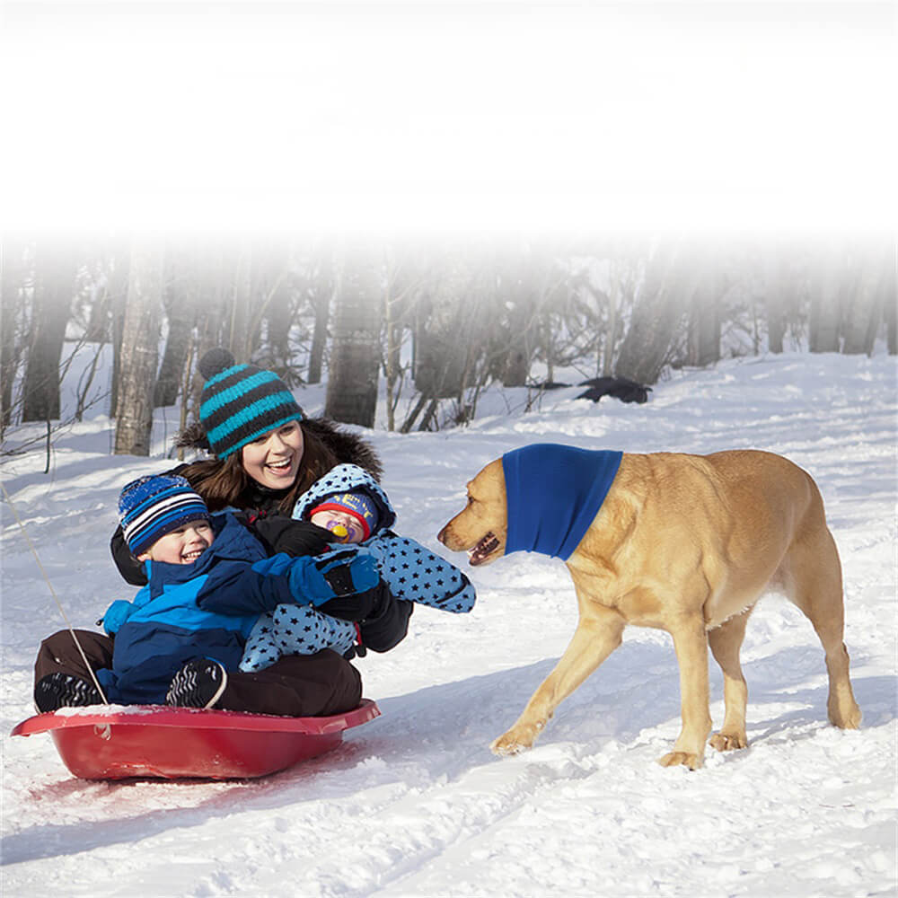 Dog Soothing HeadbAnd For Anxiety Relief and Calm