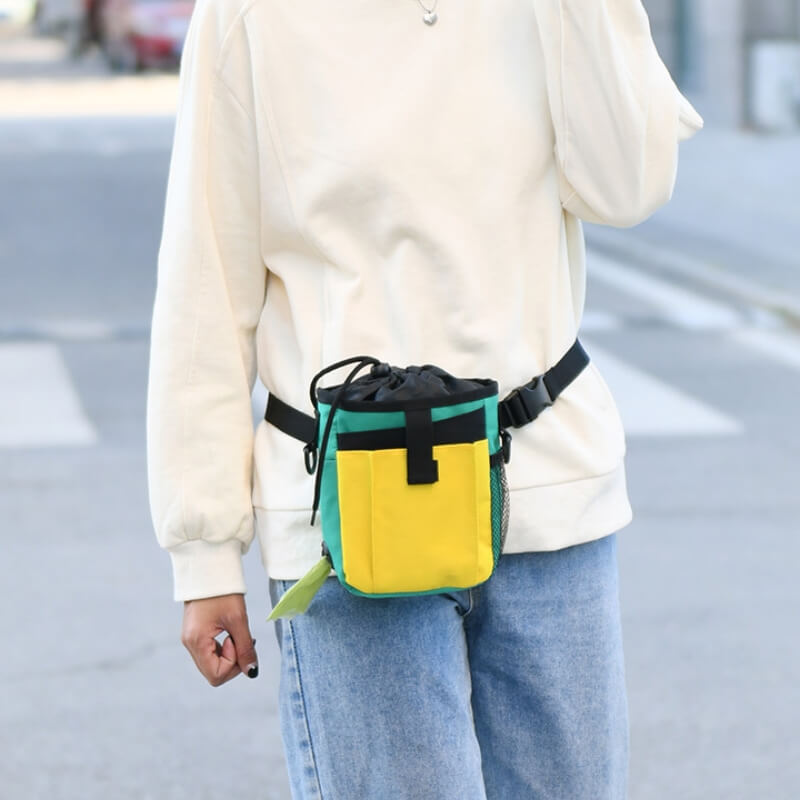 Waterproof Dog Treat Training Bag With Adjustable Strap And Multiple Pockets