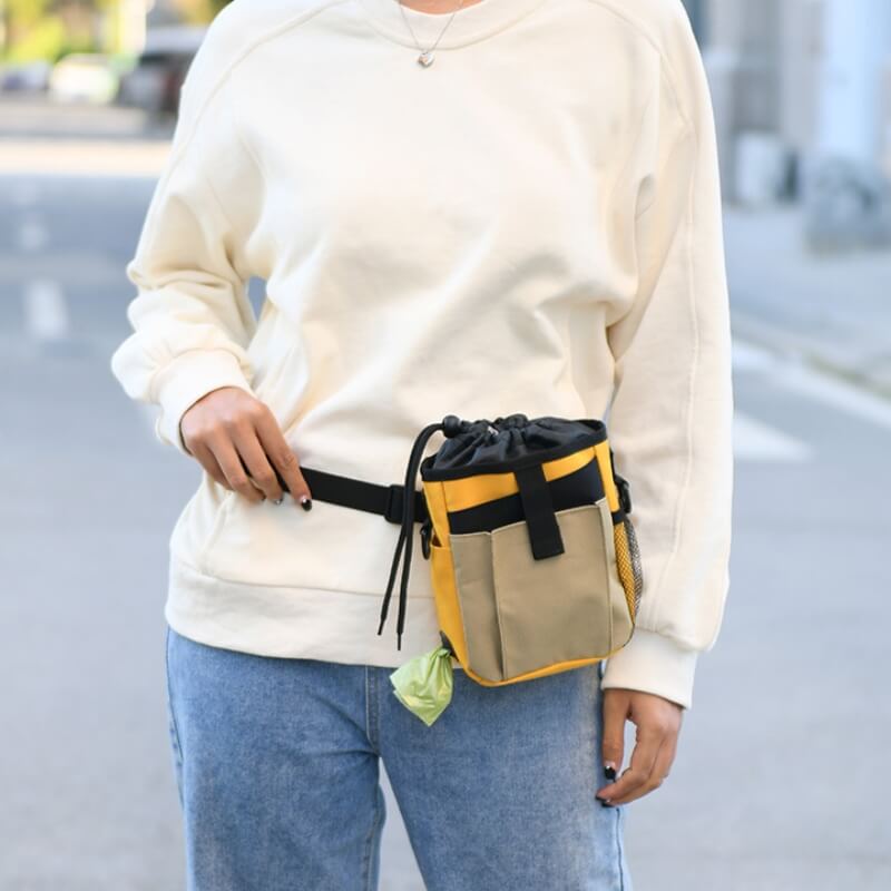 Waterproof Dog Treat Training Bag With Adjustable Strap And Multiple Pockets