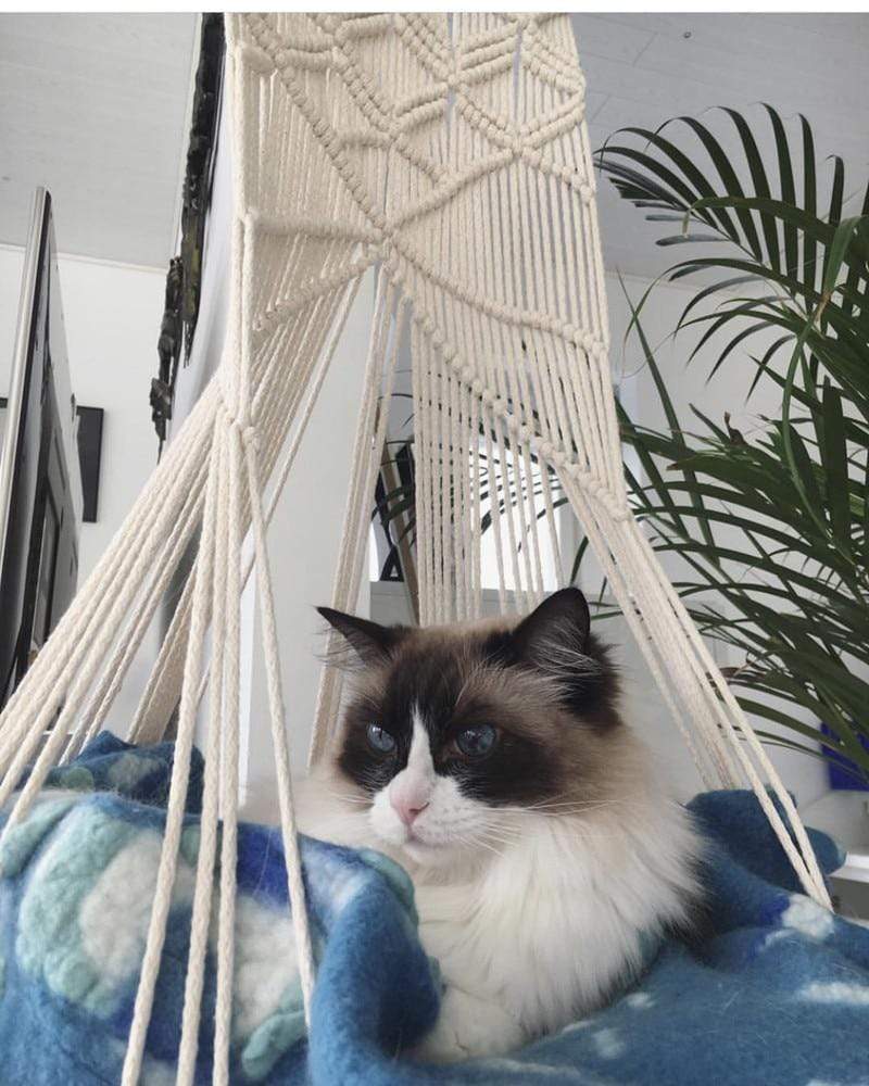Macrame Wall Hanging Cat Bed – Handcrafted Cozy Cotton Rope Pet Hammock