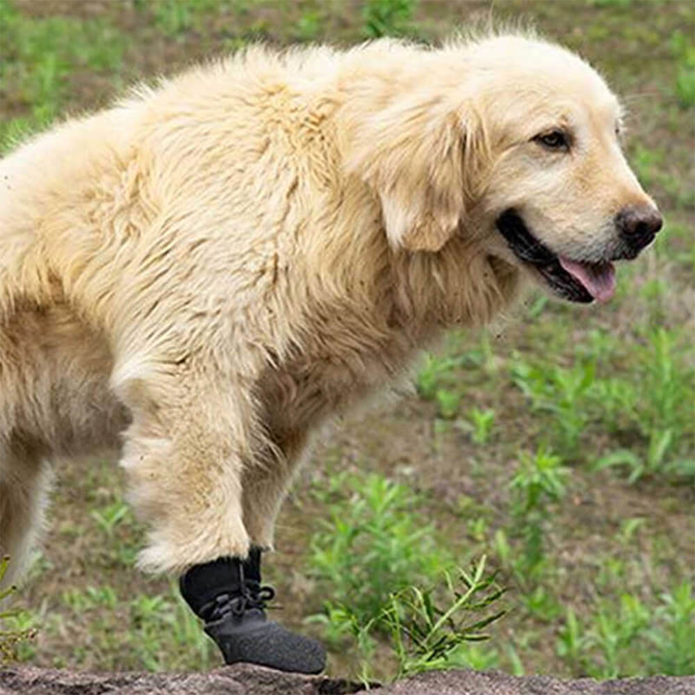 Waterproof Breathable Dog Shoes With Non-Slip Soles For Hiking, Running, And Outdoor Use