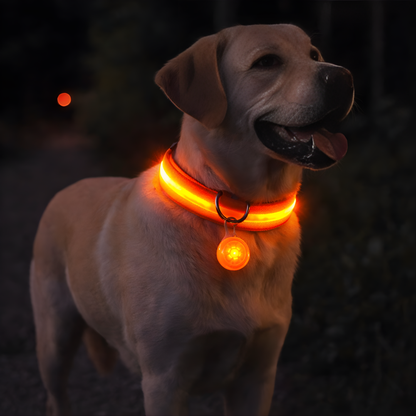 Usb Rechargeable Ultra-Bright Led Dog Collar For Night Safety And Visibility