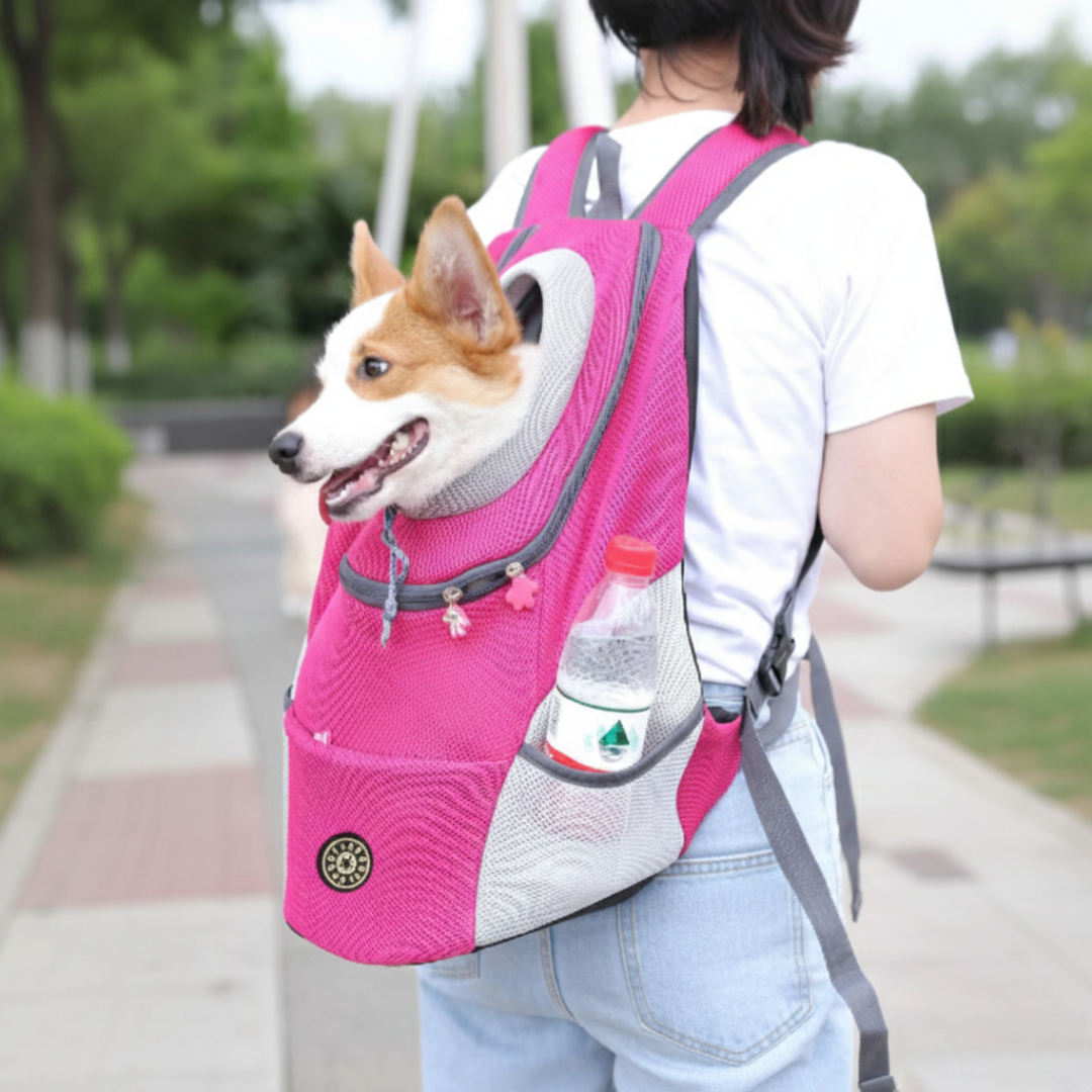 Pet Travel Backpack With Breathable Mesh And Padded Adjustable Straps For Comfort