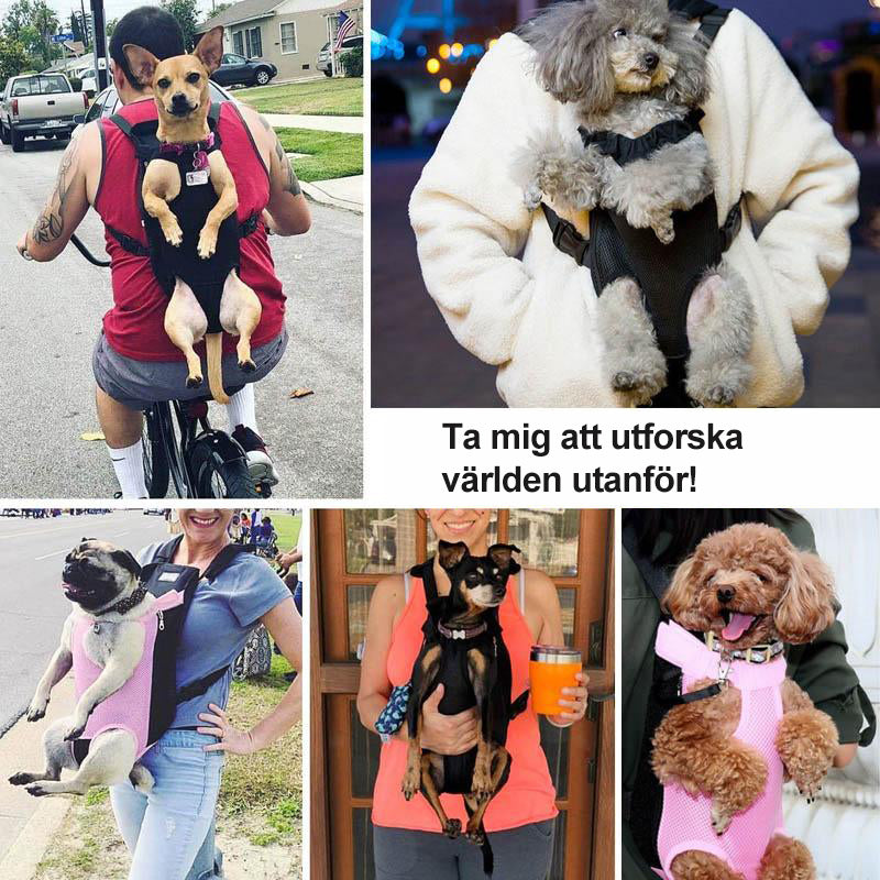 Pet Backpack Front Carrier With Mesh Panels And Adjustable Padded Straps