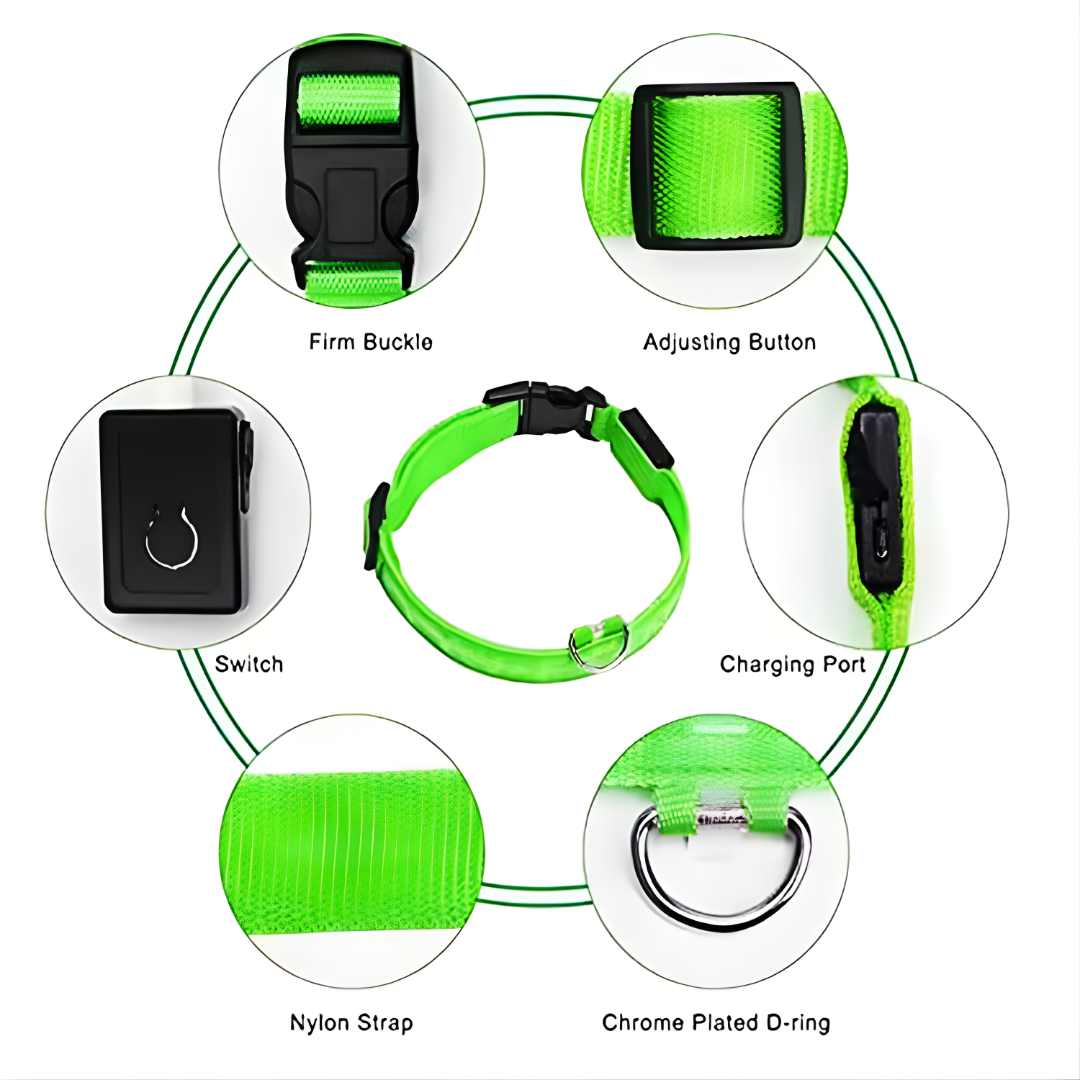 Usb Rechargeable Ultra-Bright Led Dog Collar For Night Safety And Visibility