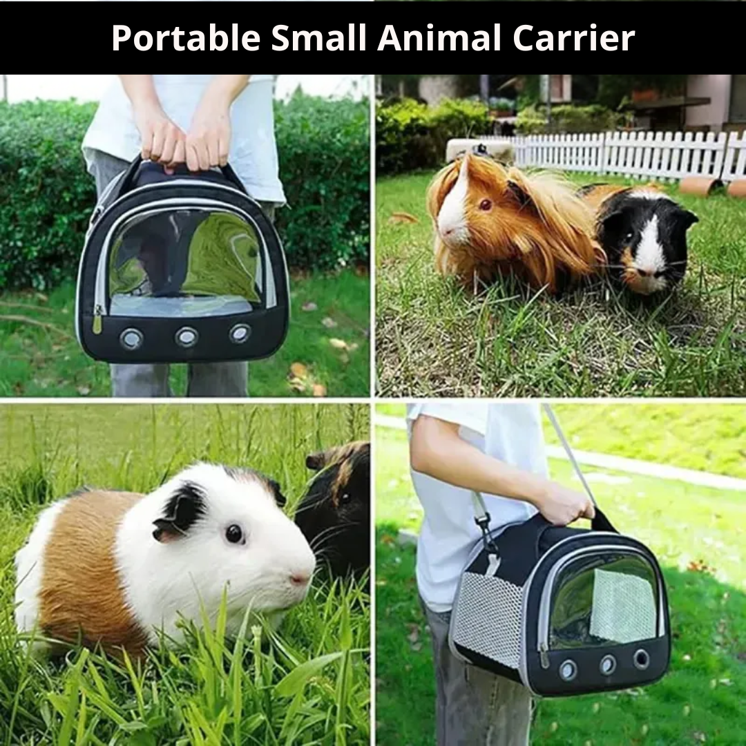 Breathable Mesh Small Animal Carrier With Clear Window For Stress-Free Pet Travel