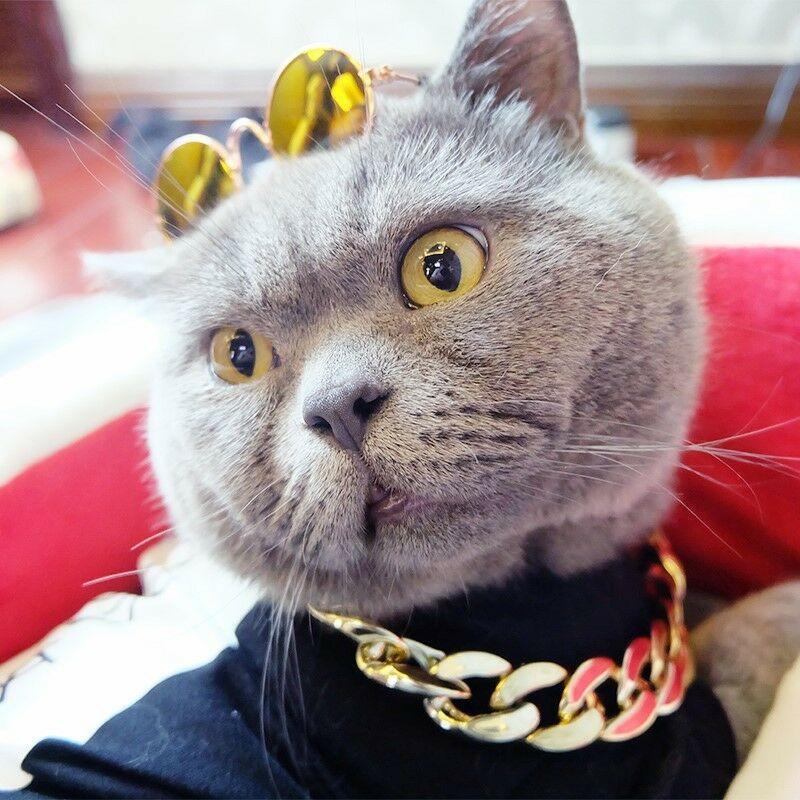 Thick Gold-Plated Chain Pet Safety Collar – Durable Stylish Dog Collar