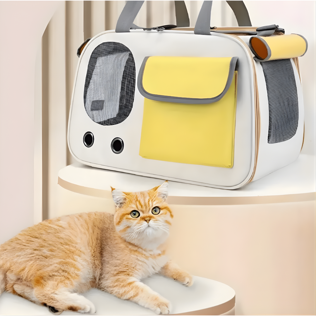 Travel Cat Carrier With Breathable Mesh, Foldable Design & Steel Frame For Safe, Comfortable Travel
