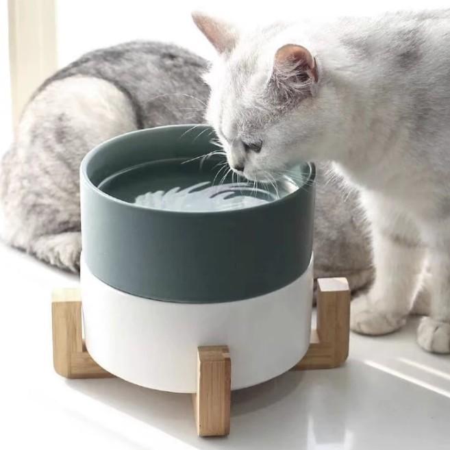 Ceramic Pet Feeding Bowls With Detachable Bamboo Base, Shatter-Resistant & Bpa-Free