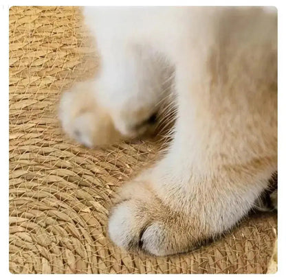 Cozypets Cloudnest Super Soft Cat Bed With Removable Cushion For Senior Cats And Arthritis Relief