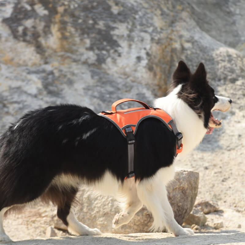 Multifunctional Explosion-Proof Anti-Pull Dog Harness For Medium To Large Dogs
