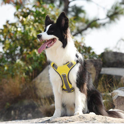 Multifunctional Explosion-Proof Anti-Pull Dog Harness For Medium To Large Dogs