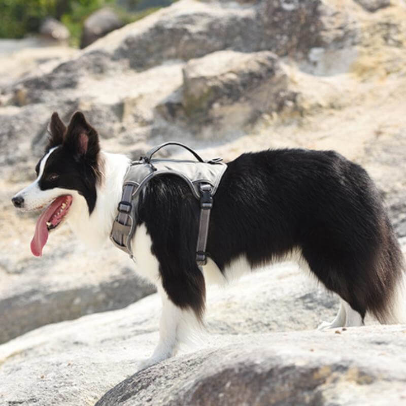 Multifunctional Explosion-Proof Anti-Pull Dog Harness For Medium To Large Dogs