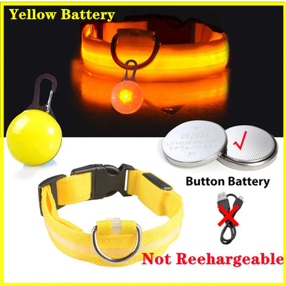 Usb Rechargeable Ultra-Bright Led Dog Collar For Night Safety And Visibility