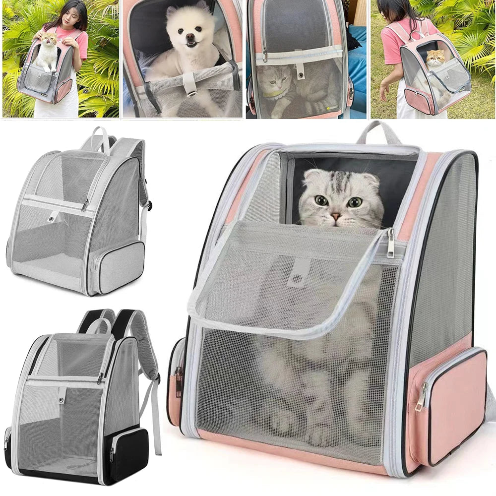 Breathable Mesh Pet Backpack Carrier With Plush Pad – Foldable Ventilated Hiking Travel Bag