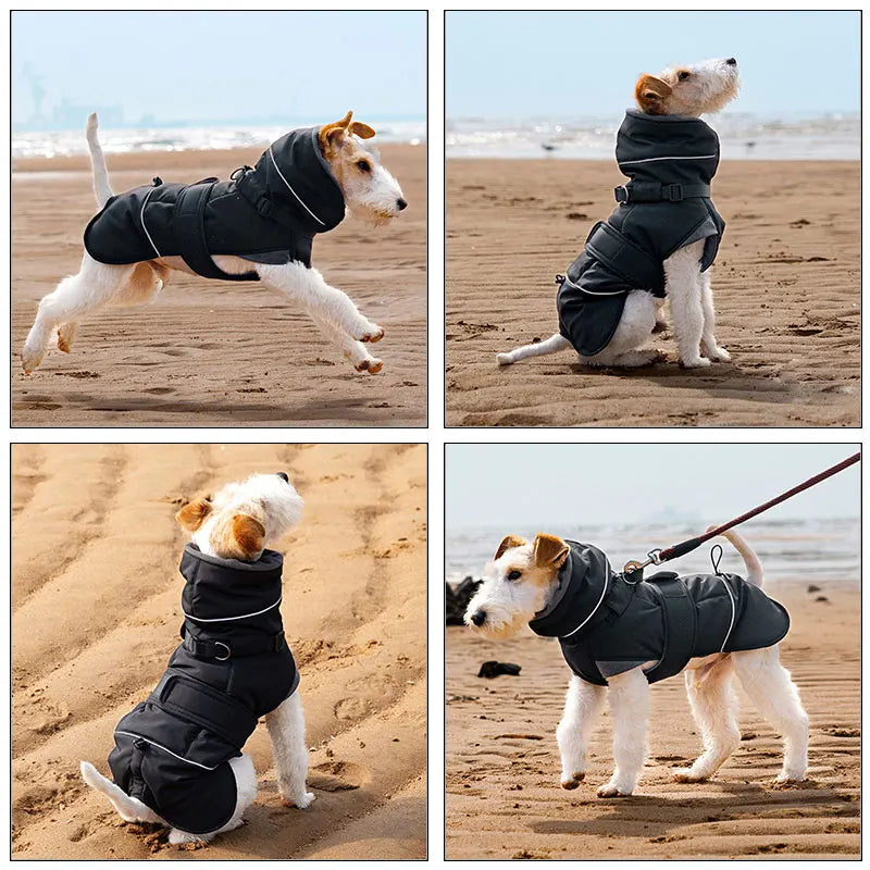 Waterproof Dog Coat With Integrated Harness, High Neck & Reflective Safety Strips
