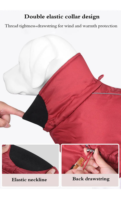 Titan Expedition Waterproof Reflective WInter Coat With Built-in Harness For Large Dogs