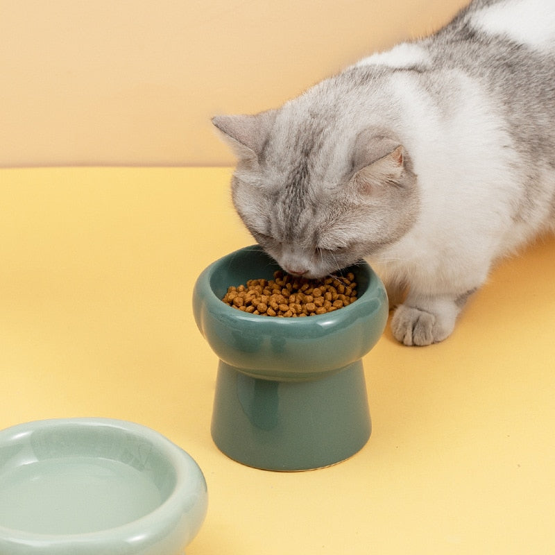 Luna Ceramic Elevated Cat Bowls – Ergonomic Raised Feeding Bowls, Dishwasher Safe, Multiple Sizes & Colors