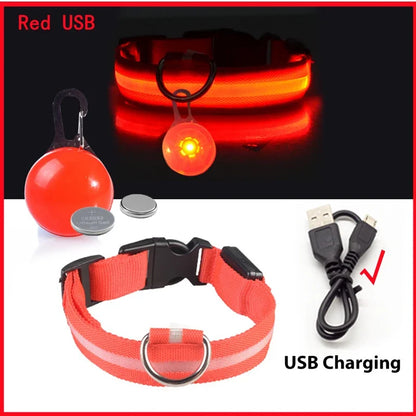 Usb Rechargeable Ultra-Bright Led Dog Collar For Night Safety And Visibility