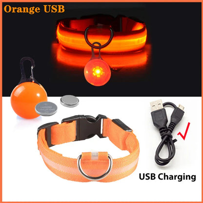 Usb Rechargeable Ultra-Bright Led Dog Collar For Night Safety And Visibility