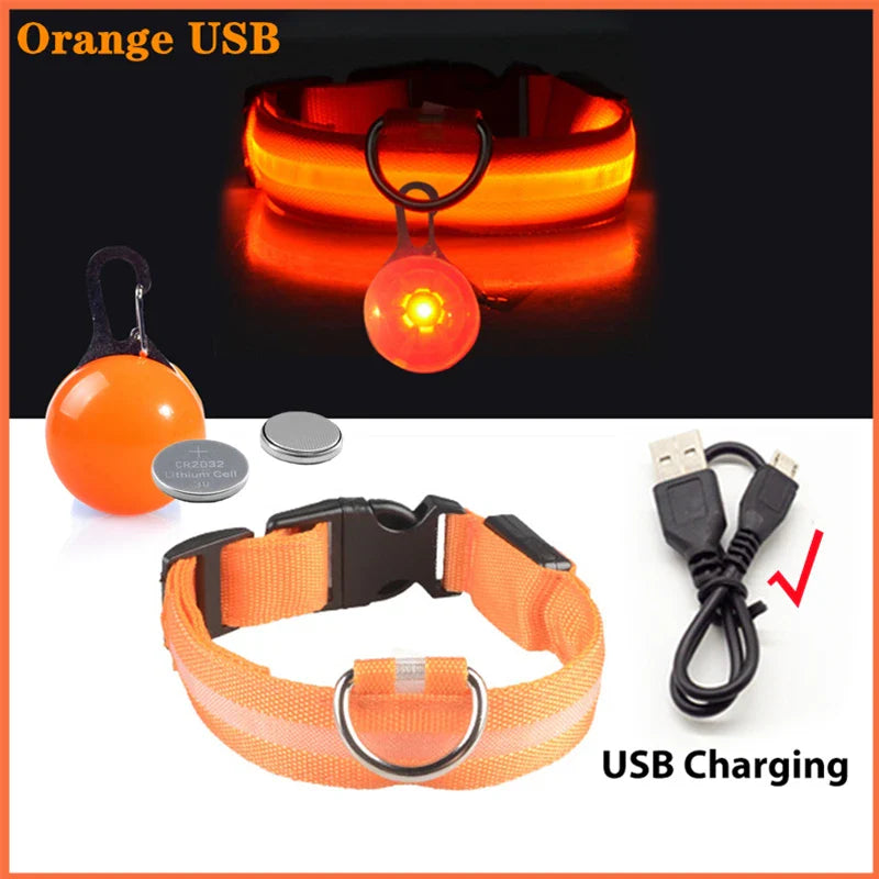 Usb Rechargeable Ultra-Bright Led Dog Collar For Night Safety And Visibility