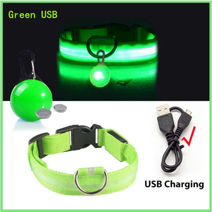 Usb Rechargeable Ultra-Bright Led Dog Collar For Night Safety And Visibility