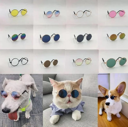 Retro Round Metal Frame Pet Sunglasses For Cats And Small Dogs