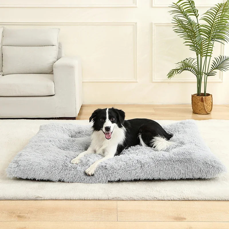 Soft Plush Calming Dog Bed With Orthopedic Support And Anti-Anxiety Comfort