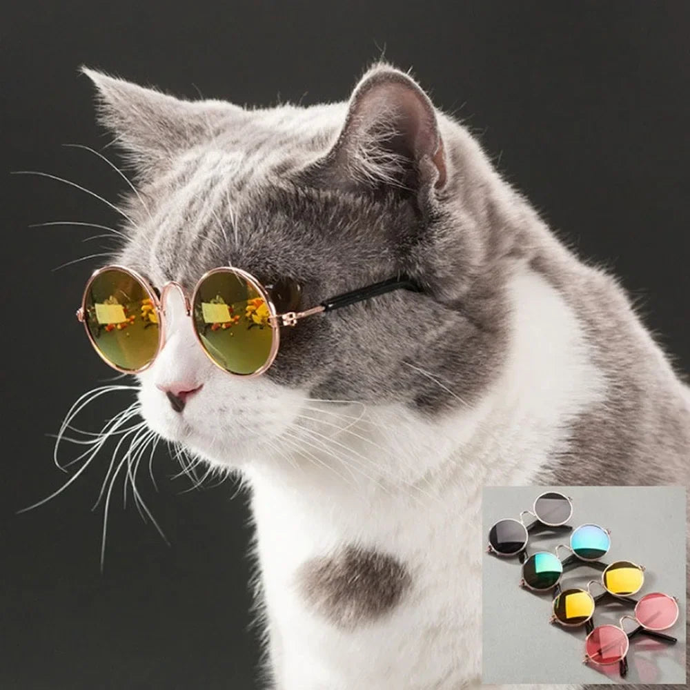 Retro Round Metal Frame Pet Sunglasses For Cats And Small Dogs