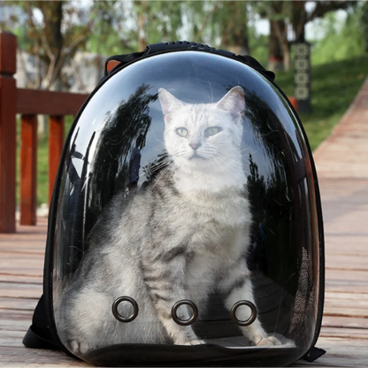 Breathable Clear Bubble Cat Backpack With Panoramic Space Capsule Design And Ventilation