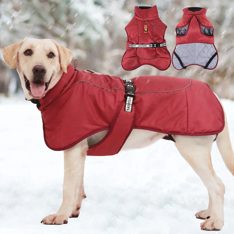 Titan Expedition Waterproof Reflective WInter Coat With Built-in Harness For Large Dogs
